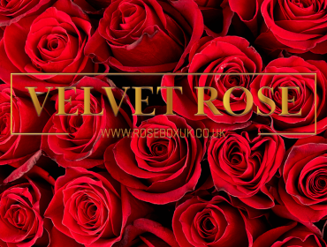 THE PRESTIGE BOX OF ROSES – ETERNITY REAL PRESERVED ROSES