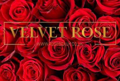 THE PRESTIGE BOX OF ROSES – ETERNITY REAL PRESERVED ROSES