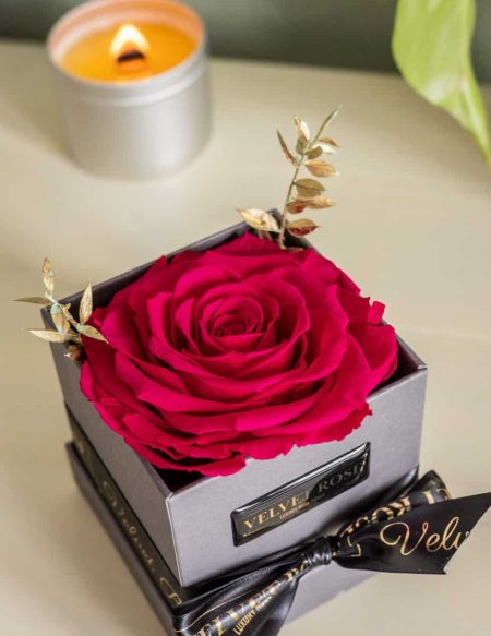 FUSCHIA – THE BONITA SOLO ROSE BOX – EXTRA LARGE ETERNITY REAL PRESERVED ROSES