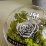 METALLIC SILVER- GLASS SOLO ROSE – ETERNITY REAL PRESERVED ROSE