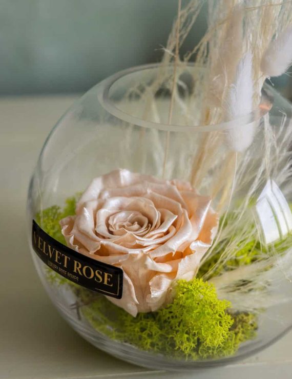 CHAMPAGNE SATIN – GLASS SOLO ROSE – ETERNITY REAL PRESERVED ROSE