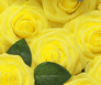 Lemon Yellow Everlasting Artificial Roses