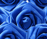 Royal Blue Everlasting Artificial Roses