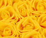 Sunflower Everlasting Artificial Roses