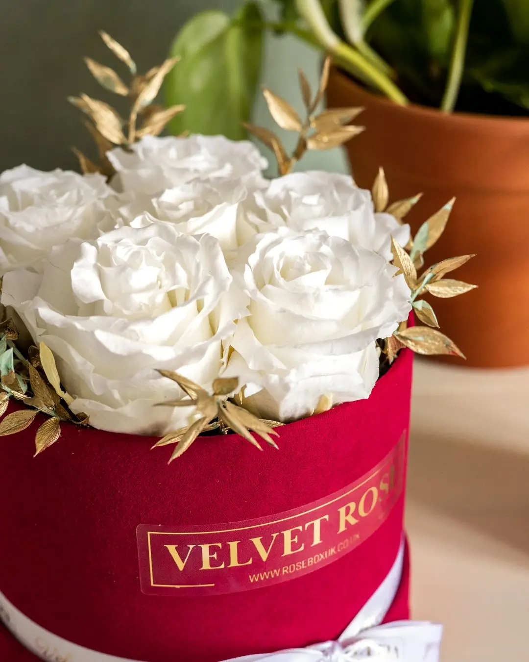 Close-up of ivory preserved roses and gold leaves in red velvet