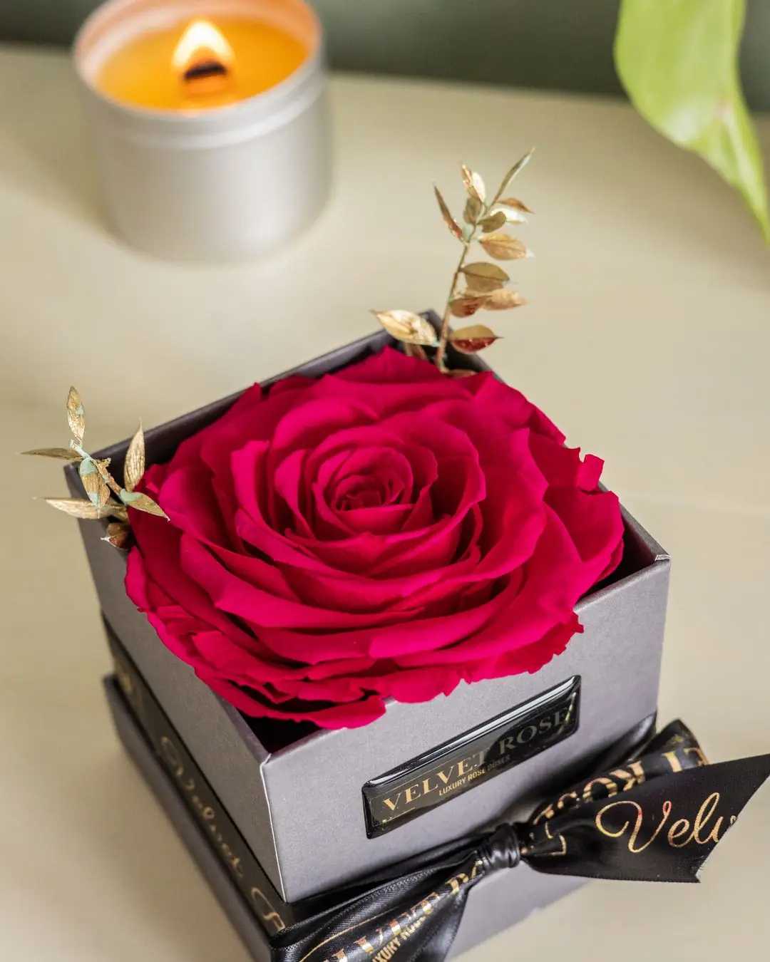 The Single Rose: one large red preserved rose in a black box